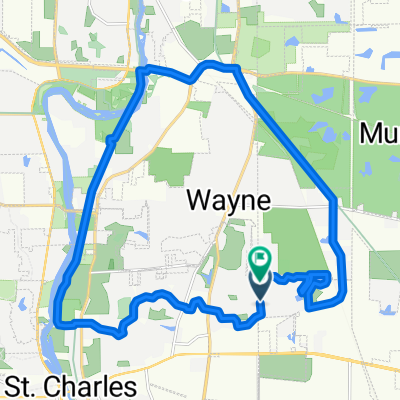 FxChsFxRvrStrnsRdPrriePthLoop(8-14-25)(solo)