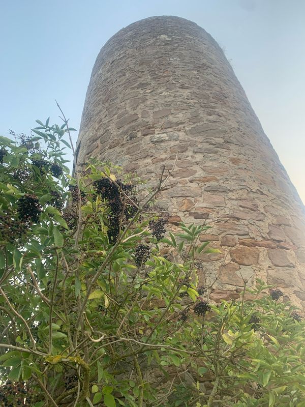 Adalbertstraße, Fulda nach Adalbertstraße, Fulda