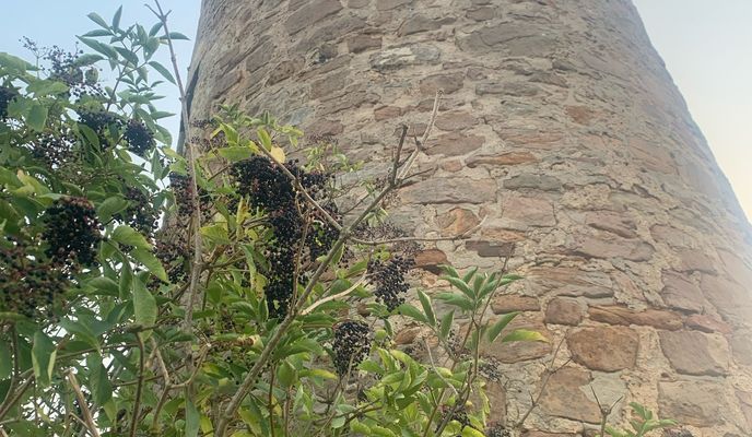 Zdjęcie 2 trasy Bikemap „Adalbertstraße, Fulda nach Adalbertstraße, Fulda”