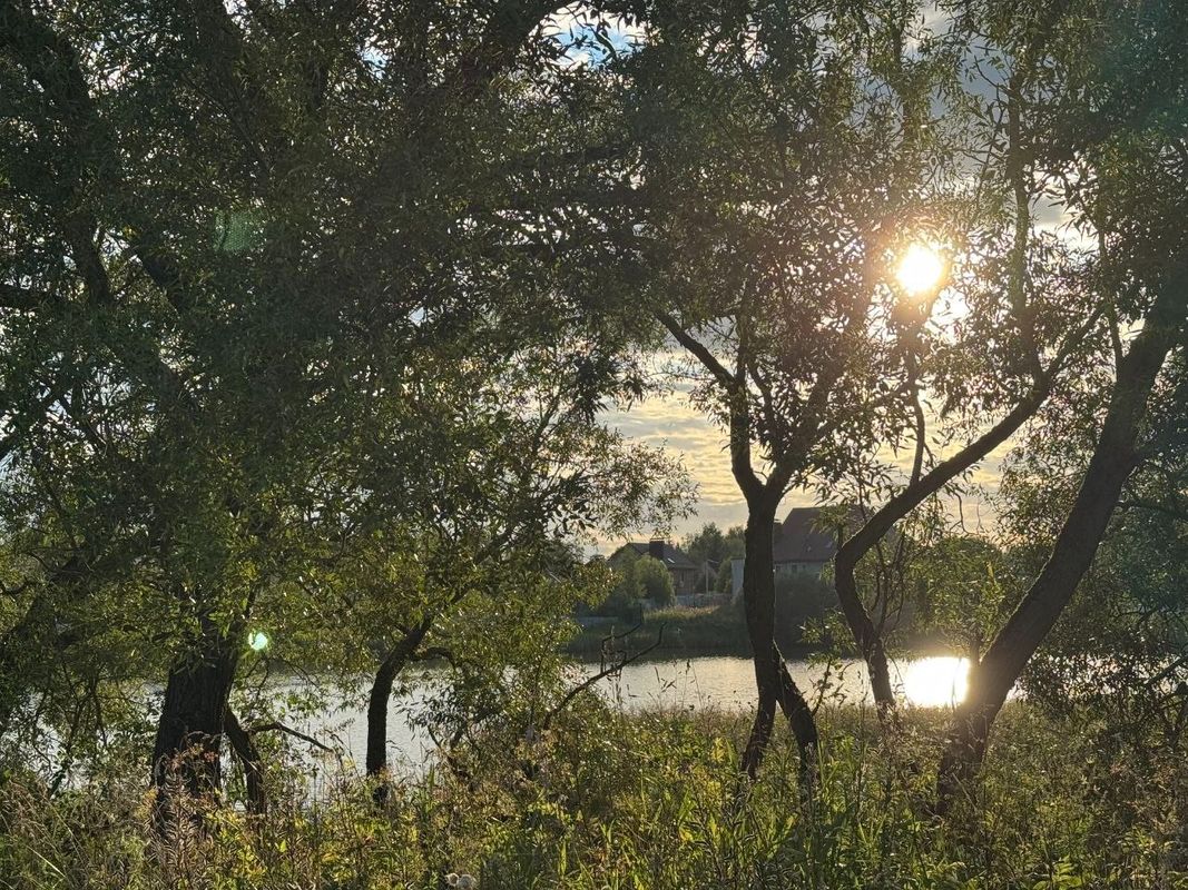 Road to Paradise (Smolensk)