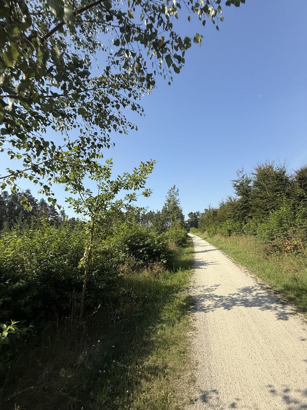 Krotoszyńska, Milicz do Krotoszyńska, Milicz