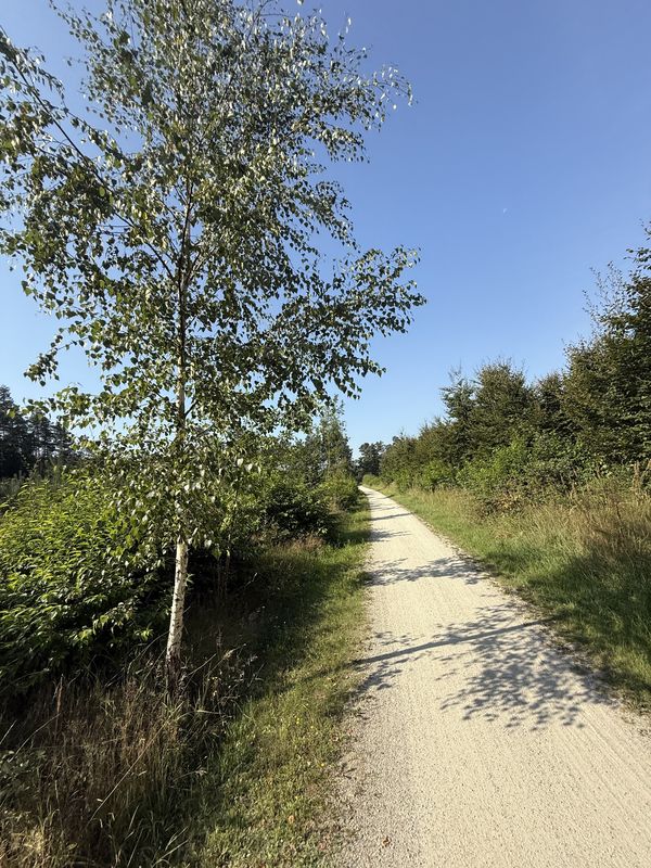 Krotoszyńska, Milicz do Krotoszyńska, Milicz