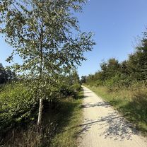 Krotoszyńska, Milicz do Krotoszyńska, Milicz