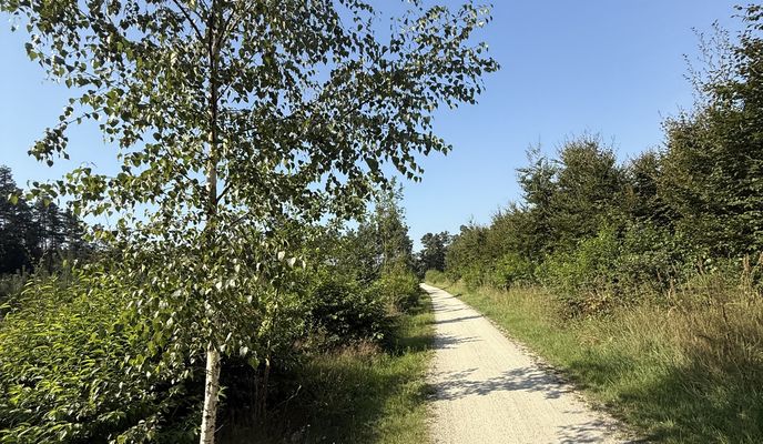Foto 1 del percorso Bikemap "Krotoszyńska, Milicz do Krotoszyńska, Milicz"