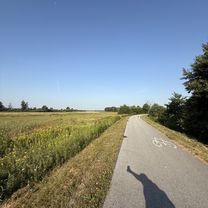 Foto 7 del percorso Bikemap "Krotoszyńska, Milicz do Krotoszyńska, Milicz"