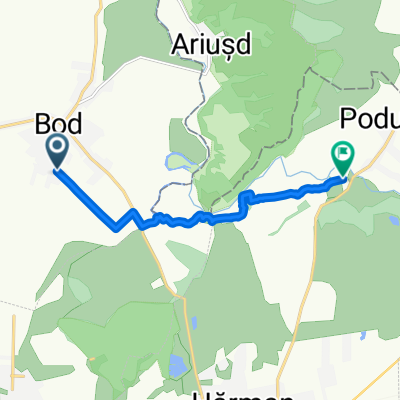 din Bod catr Podu Olt