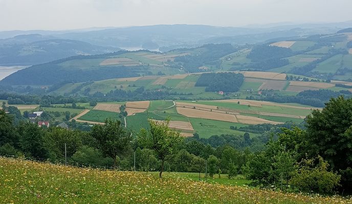 Foto 2 der Bikemap-Route "Szkolna do Książenicka 54A"