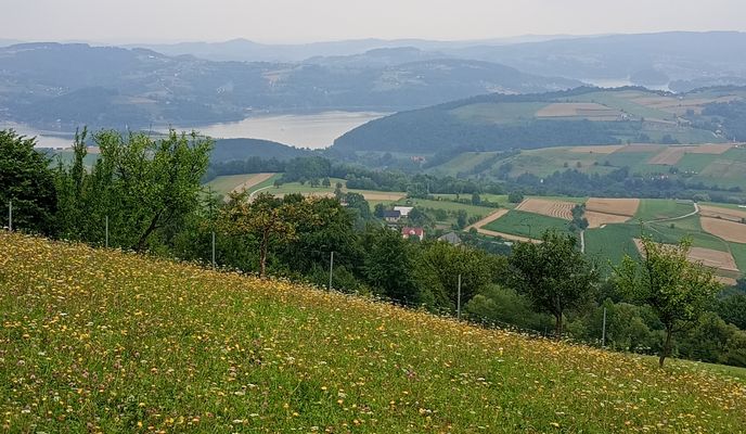 Foto 1 der Bikemap-Route "Szkolna do Książenicka 54A"