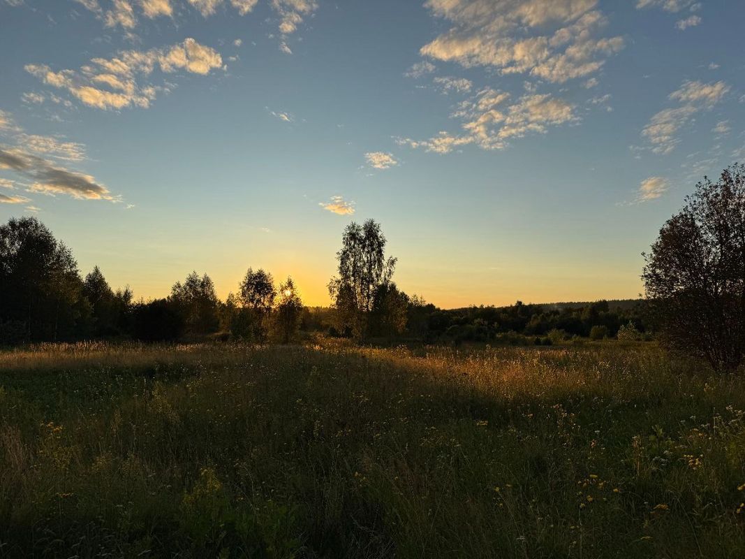Road to Alexandrovka (Smolensk)