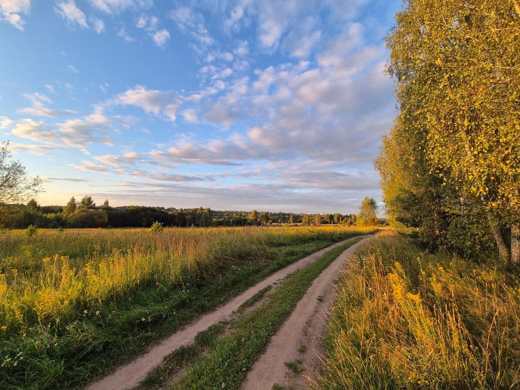 Road to Alexandrovka (Smolensk)
