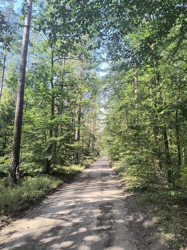 Pętla wkoło Ostródy