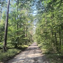Foto 7 der Bikemap-Route "Pętla wkoło Ostródy"