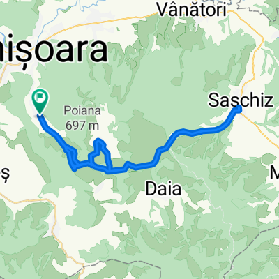 Aurel Vlaicu, Sapartoc, saschiz