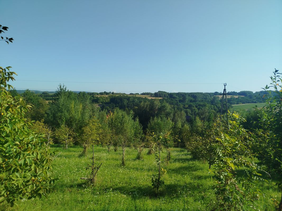 Zielona do Węgierska 39A