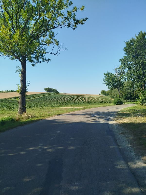 Zielona do Węgierska 39A