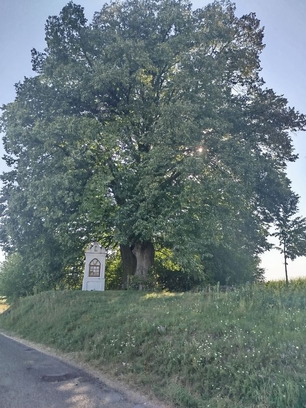 Zielona do Węgierska 39A