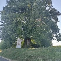 Zielona do Węgierska 39A