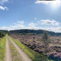 Billundvej, Hejnsvig nach Bredsten Landevej, Grindsted