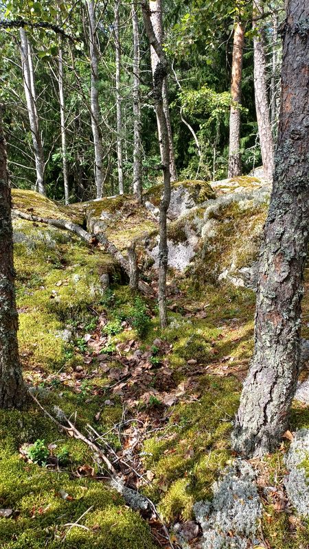 Espoo - Nuxio - Espoo