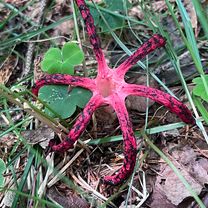 Foto 7 der Bikemap-Route "Recovered Route"