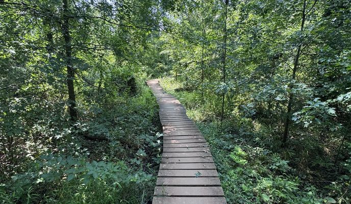 Photo 2 of the Bikemap route "NJ-27, Somerset to NJ-27, Somerset"