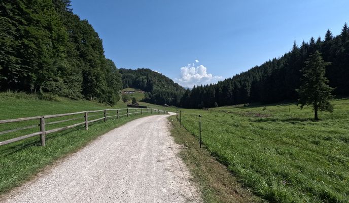 Foto 1 der Bikemap-Route "Vom Müllibankerl in Gmunden  auf’d Hochsteinalm und am Traunsee. 🚴🚴♂️" Foto 1 der Bikemap-Route "Vom Müllibankerl in Gmunden  auf’d Hochsteinalm und am Traunsee. 🚴🚴♂️"