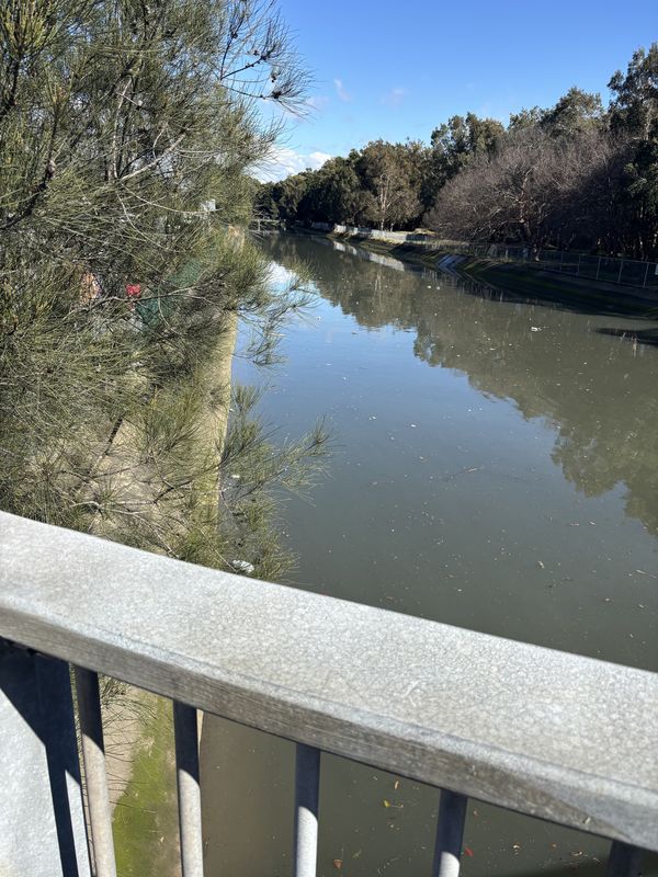 Morton Ave, Lewisham to Gould Ave, Lewisham