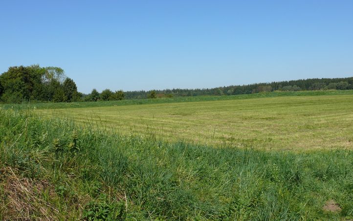 Atrakcja 1 na trasie Bikemap „Forstenrieder Park: Neuried - Keltenschanze Buchendorf - Forsthaus Kasten”