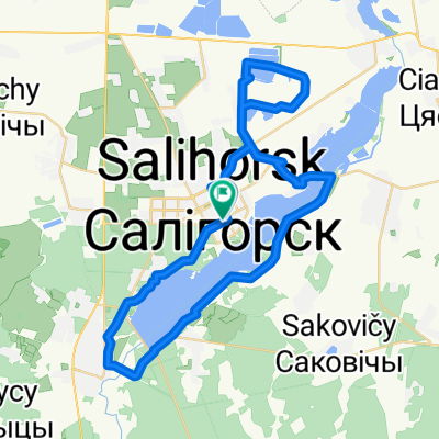 Соль Полесья