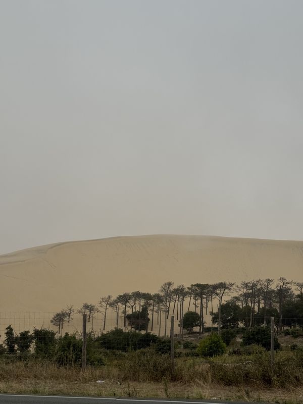 Résidence Arcachon Marine, La Teste-de-Buch a Eurovélo 1 - Atlantique Coast Route, La Teste-de-Buch