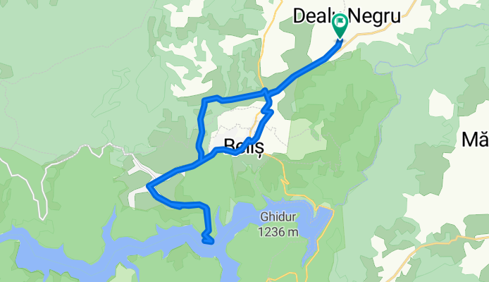 Dealu Negru - Beliș