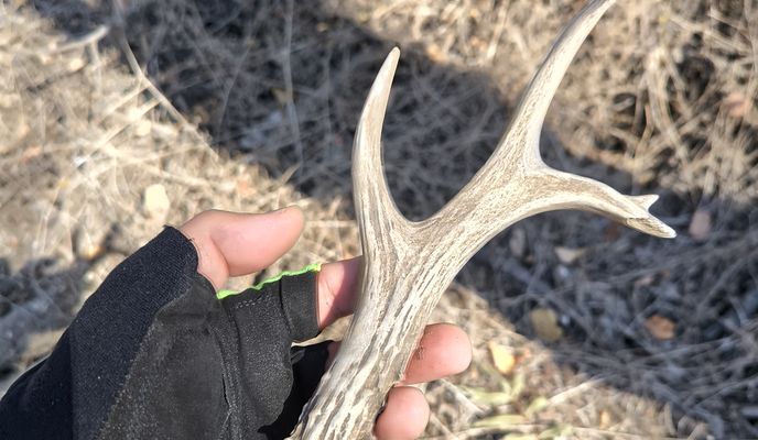 Photo 1 of the Bikemap route "Pantelimon" Photo 1 of the Bikemap route "Pantelimon"