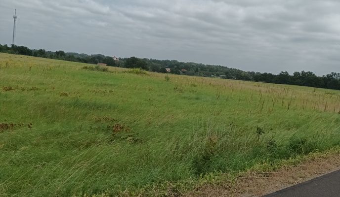 Foto 1 del percorso Bikemap "Unter den Kiefern nach Triftstraße"