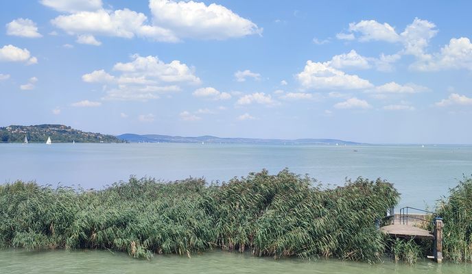 Foto 2 der Bikemap-Route "Magyarország - Forrás utca" Foto 2 der Bikemap-Route "Magyarország - Forrás utca"