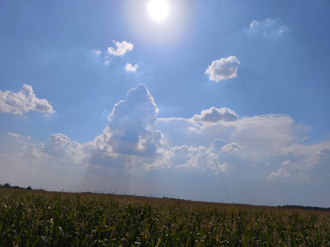 Névtelen Út - Csallóköz utca 16a