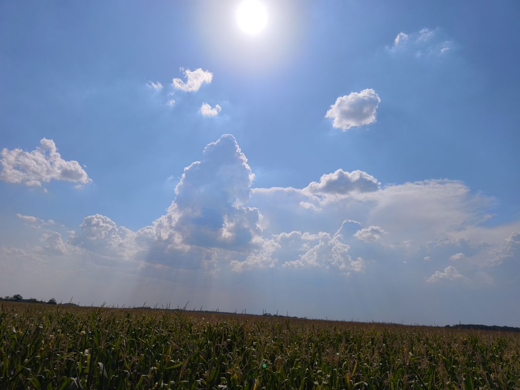 Névtelen Út - Csallóköz utca 16a