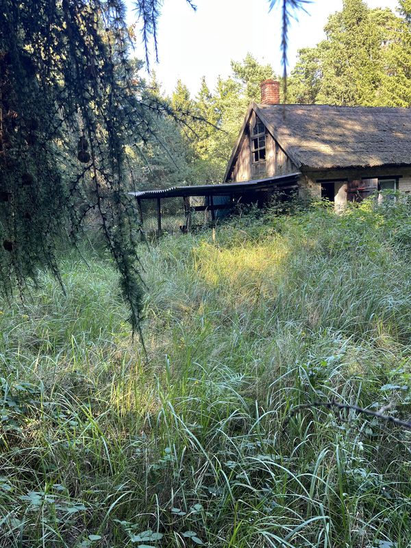 Körkwitz Hof, Dierhagen nach Strandstraße, Graal-Müritz
