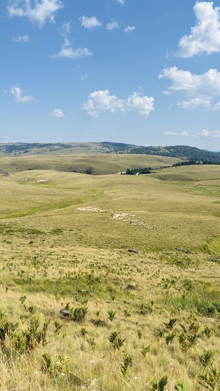 DJ183A, Desesti to Strada Valea Neagră, Baia Mare