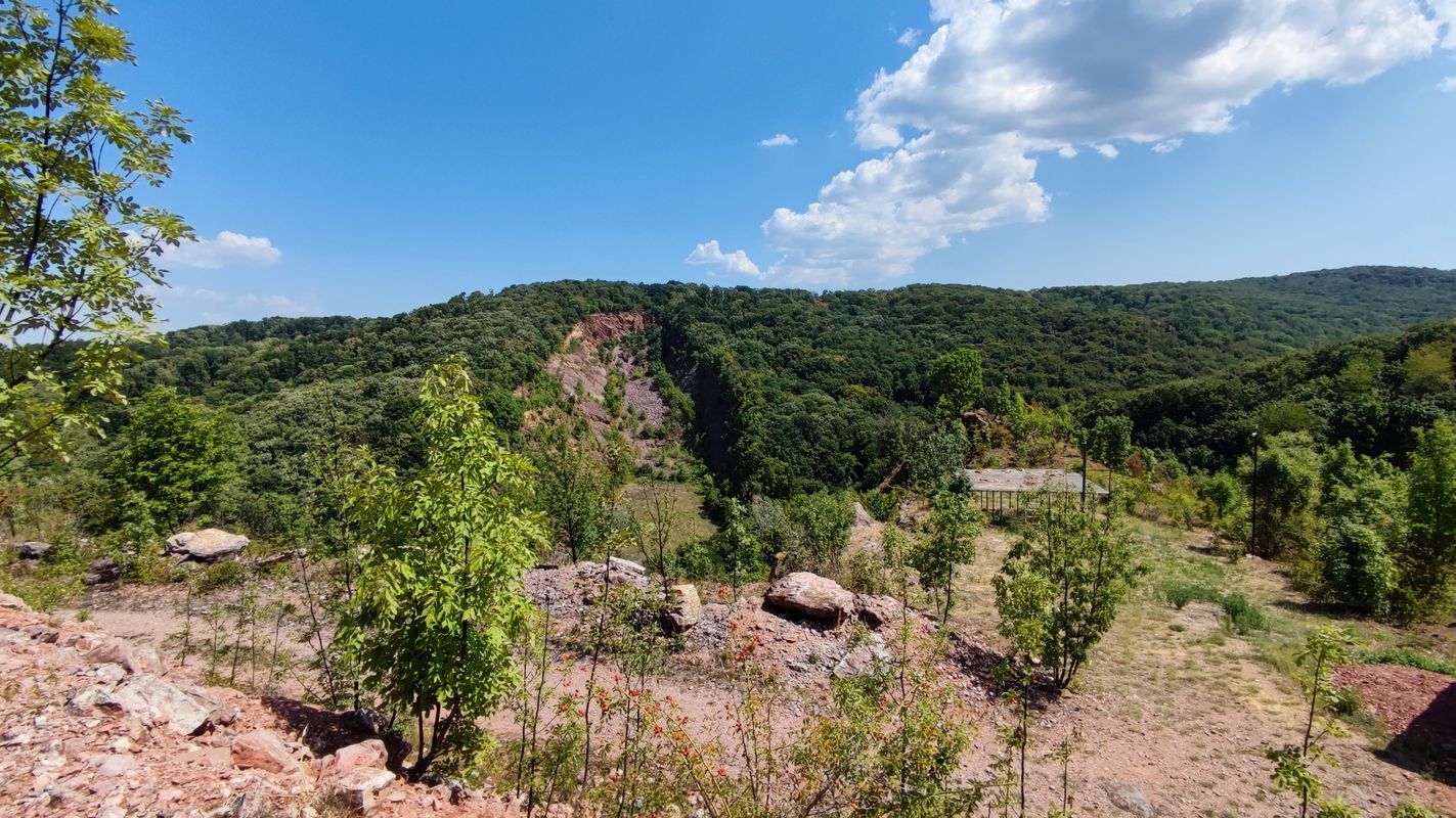 Novi Sad - Begeć - Banaštor - Fruška - Sremski Karlovci - Petrovaradun