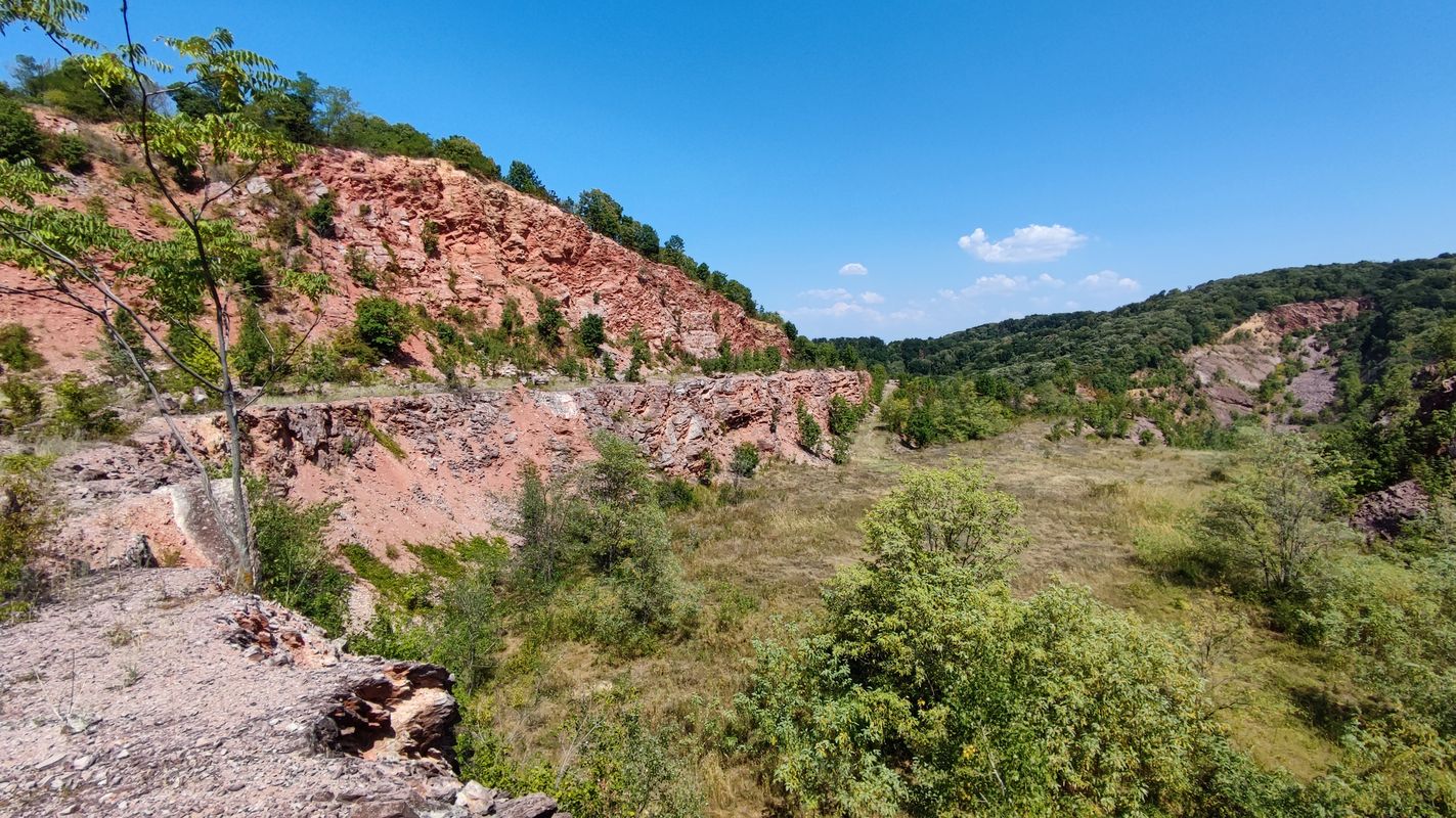 Novi Sad - Begeć - Banaštor - Fruška - Sremski Karlovci - Petrovaradun