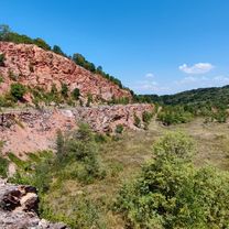 Novi Sad - Begeć - Banaštor - Fruška - Sremski Karlovci - Petrovaradun