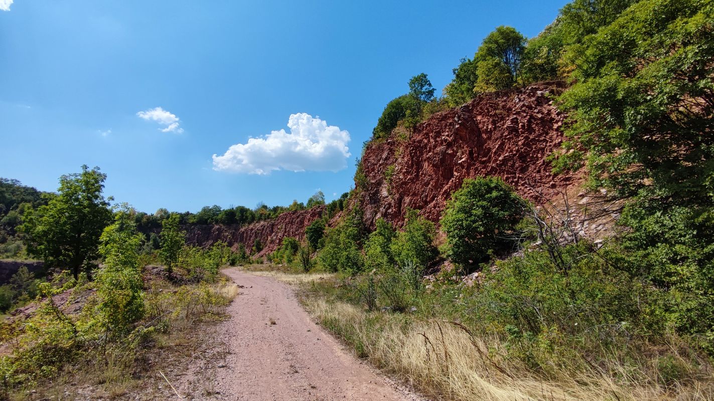 Novi Sad - Begeć - Banaštor - Fruška - Sremski Karlovci - Petrovaradun