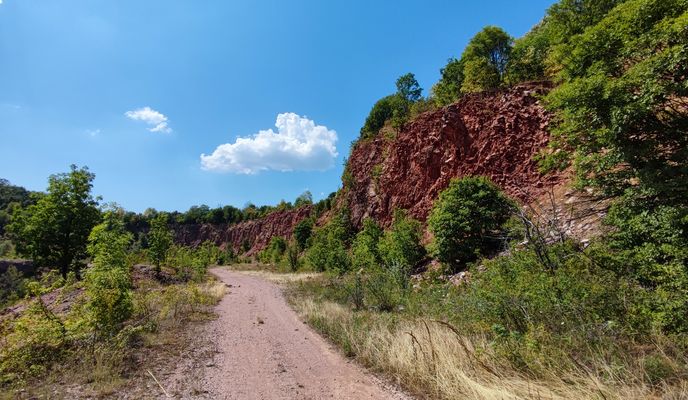 Zdjęcie 2 trasy Bikemap „Novi Sad - Begeć - Banaštor - Fruška - Sremski Karlovci - Petrovaradun”