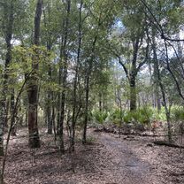 Withlacoochee State Trail, Brooksville to Croom Rital Rd, Brooksville