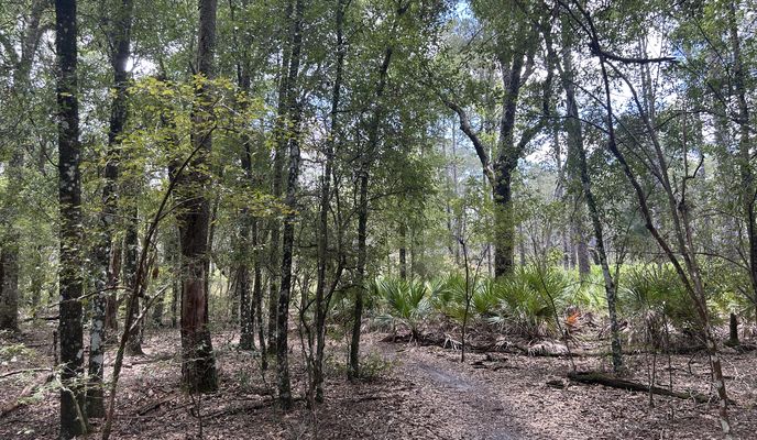 Photo 1 de l’itinéraire Bikemap « Withlacoochee State Trail, Brooksville to Croom Rital Rd, Brooksville »