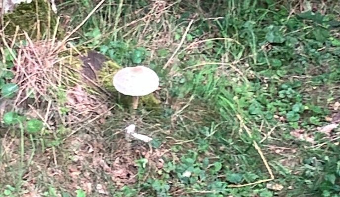 Zdjęcie 1 trasy Bikemap „Piaski, Świdnica do Piaski, Świdnica”