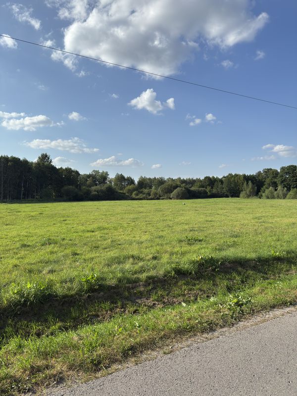 Ks P Skargi, Żyrardów do Ks P Skargi, Żyrardów