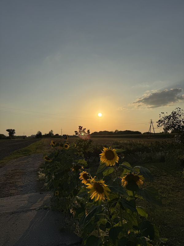 Ks P Skargi, Żyrardów do Ks P Skargi, Żyrardów
