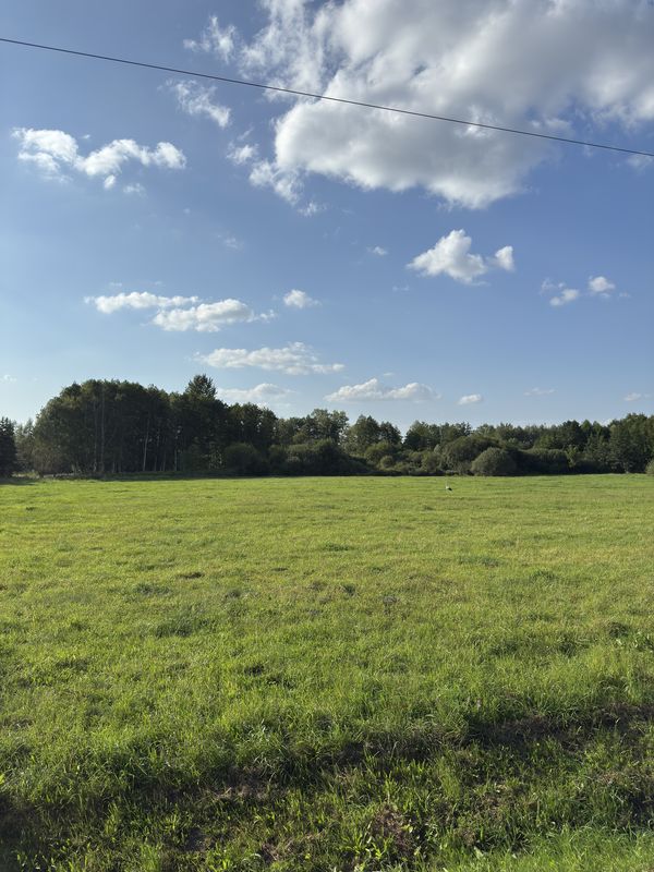 Ks P Skargi, Żyrardów do Ks P Skargi, Żyrardów