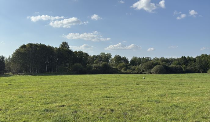 Foto 2 der Bikemap-Route "Ks P Skargi, Żyrardów do Ks P Skargi, Żyrardów" Foto 2 der Bikemap-Route "Ks P Skargi, Żyrardów do Ks P Skargi, Żyrardów"